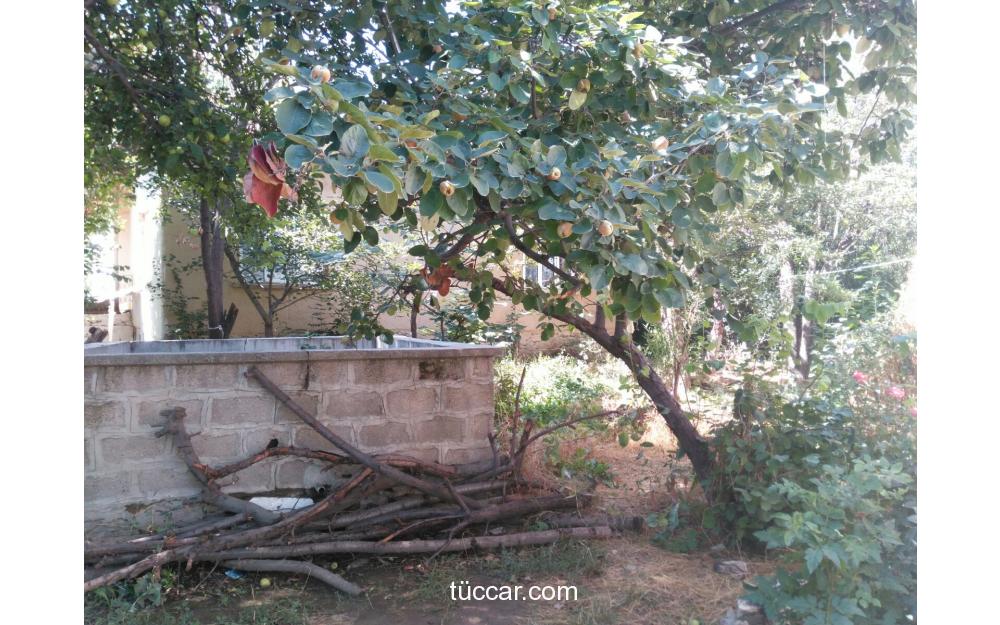 AYDEMİR EMLAKTAN LADİKde BAHÇELİ EV 4+1 FİYAT DÜŞTÜ 819562 megaticaret